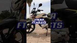 Descubre la potencia y versatilidad en cada kil&oacute;metro con la Italika FT 150 GTS 🔥🏍