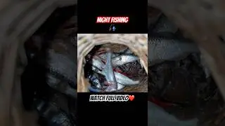 Spear Fishing Nepal ❤️ #fishing #hunting #subscribe #adventure