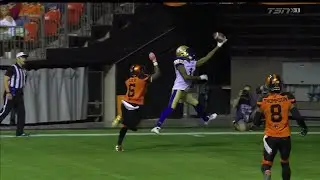 Winnipeg Blue Bombers Darvin Adams One Handed Touchdown