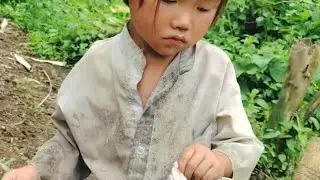 Baby Anh Cares for Her Injured Father Alone  Heart Touching Village Story | Little Anh Survival Life