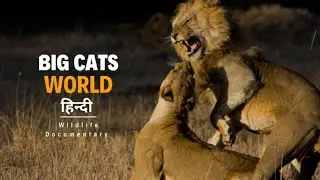 Masai Mara Wildlife Documentary in Hindi | African Safari & Wildlife in हिन्दी