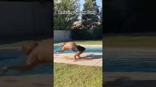 spring jump by hewy weight😲😲 #shorts #taekwondo #spring #stunt #martialarts #jump