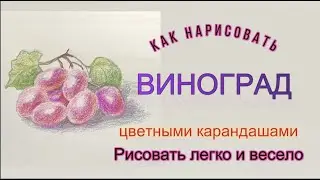 Виноград красный. Как нарисовать цветными карандашами.