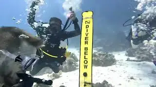 Diving in Hurghada - Dive UK&rsquo;s first marriage proposal 🎉❤️