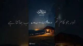 Surah Al Noor Urdu translation ❣️ #quran #quranrecitation #learnquran #shortfeed #islamicshorts