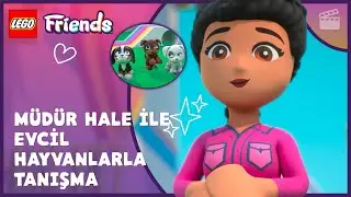 🤔🐶 M&uuml;d&uuml;r Hale i&ccedil;in En Uslu Hayvan | Evcil Hayvan Tanışma ve Eşleştirme | LEGO Friends