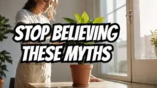Top 5 Plant Care Myths Debunked! 🌿