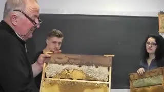 985 Apicultura Val unei functii intr-un punct Sume Analiza combinatorica Binomul lui Newton Cls 11