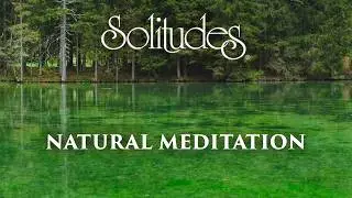 Dan Gibson’s Solitudes - Meditation on the Forest | Natural Meditation: Music for your Health