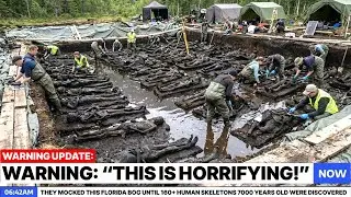 They Mocked This Florida Bog Until 160+ Human Skeletons 7000 Years Old Were Discovered