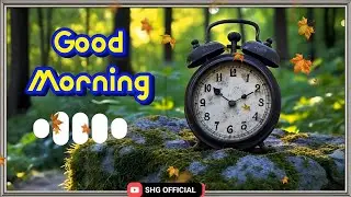 Good Morning Alarm | Wake up alarm tone | New alarm ringtone | New morning alarm tone | #alarm 