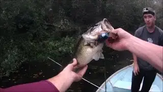 IT'S HUGE!! - Bass Fishing a Remote Pond - Feat. The-Fishing- Agent