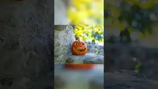 Spooky Halloween Photos with Fotodiox Lens Adapters #photography