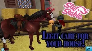 100% ACCURATE CARE FOR YOUR HORSE (SSO) | Zoey