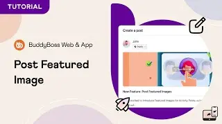 Как добавлять избранные изображения в сообщения активности в BuddyBoss