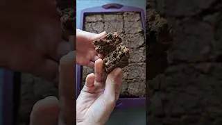 Zdravi browniji od slanutka 😍🍫 Sočno i jako fino! Okus slanutka se uopće ne osjeti. 😉