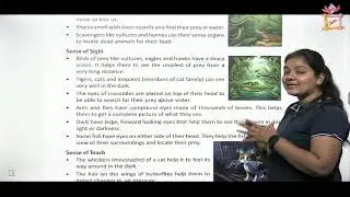 CHILDREN VOICE EVS CLASS 5  CHAPTER 7 ANIMAL SENSES