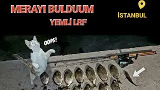 YEMLİ OLTA TAKIMI İLE GECE BALIK AVI YAPTIM  ✅️🐟 / I FISHED AT NIGHT WITH BAIT LINE
