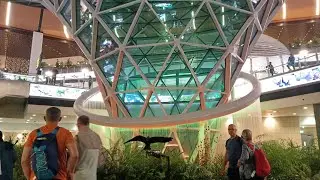 Orchard Garden at Night in Hamad International Airport in Doha Qatar