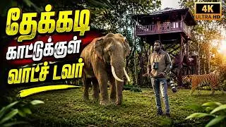 🔥புலி சிறுத்தை கரடி உலா வரும் இடத்தில் Night Wildlife @SimbaaVlogs