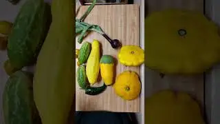 Garden Container Planting Part 4