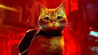 Stray sur PS4 PS5 Switch et XBOX / Avis / Test 
