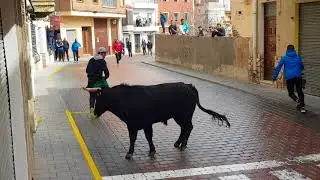 Encierro de Molinicos (Albacete)    17/03/2018               Ganader&iacute;a Ballelindo(Riopar,Albacete)
