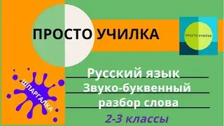 Звуко-буквенный разбор слова. Русский язык, 2-3 класс
