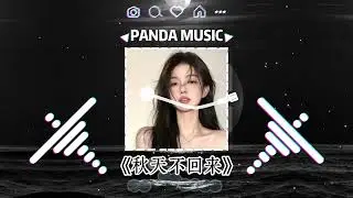 大头针 - 秋天不回来 (抖音DJ版) Qiu Tian Bu Hui Lai『就让秋风带走我的思念，带走我的泪。』【動態歌詞｜Vietsub｜Pinyin Lyrics】氛围感BGM