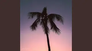 Vela (Pure)