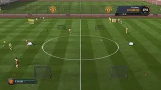 FIFA 18 Glitch in The journey