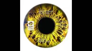 ZC019 - Yellow Eye EP - Acidupdub - All Tracks snippets from vinyl - Zodiak Commune Records