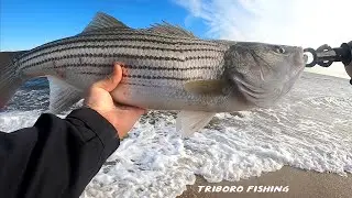 Starting the Season with Slot Size Striper | Surf Fishing the Fall Run