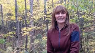 PAINTED LAND FILM National Gallery Nov. 2nd: CPAWS -Ottawa Valley Fall Gala 2016