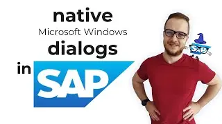 How Show native Microsoft Windows dialogs works in SAP?