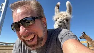 Cutest Farm Animals! My Friend Omar's Safe Haven Farm During an Emergency!