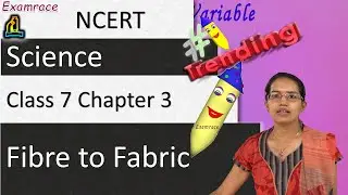 NCERT Class 7 Science Chapter 3: Fibre to Fabric (NSO/NSTSE/Olympiad) | English