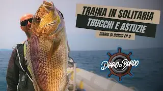 TRAINA CON IL VIVO IN SOLITARIA - TUTORIAL COMPLETO CON CATTURE - Diario Di Bordo EP. 9