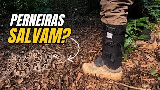O ERRO É SEU! É Assim Que Acontecem Acidentes com Serpentes