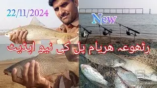رٹھوعہ ھریام پل کی نیو اپڈیٹ//22/11/2024Mirghal Raho kharota fish catch 🫴 6pcs