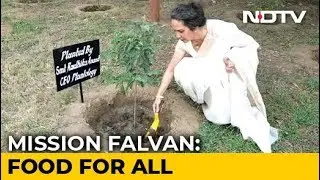 How Radhika Anand's Mission Fal-Van Is Increasing India's Green Cover