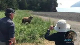Alaska Bear Viewing Tours and Adventures - Homer, Alaska