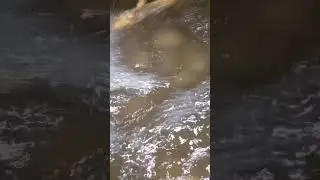 water sound 😴🎸,Pani ki awaaz,