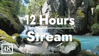 ASMR Mountain Stream Sounds 🌊 Flowing Water for Sleep, Study & Stress Relief | 12 Hours (No Music)
