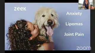 Head & Heal Live | CBD for Dogs | How does CBD work in Dogs?