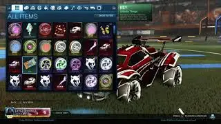 THE MOST INSANE LUCK EVER!! Double Painted Weekend Recap!!  (Rocket League)