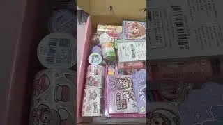 Full unboxing video on my channel🎀 #kawaiistationery #kawaiistickers #stickers #kawaii #blindbox