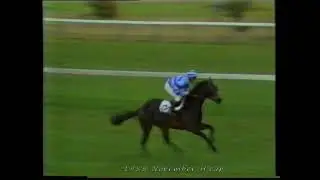 1985 November H'cap Bold Rex Inc Replay