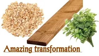 Garden decor idea|| Wooden plank decor idea ||Beautiful Home Decorating Ideas #artclubpk 