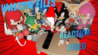 INSAINE REACTION VIDEOS WITH SONIC FAM